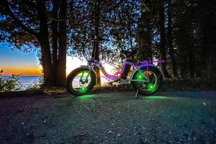 a motorcycle is parked in front of a forest