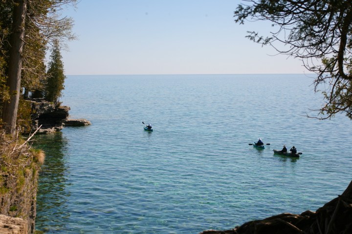 a group of people swimming in a body of water